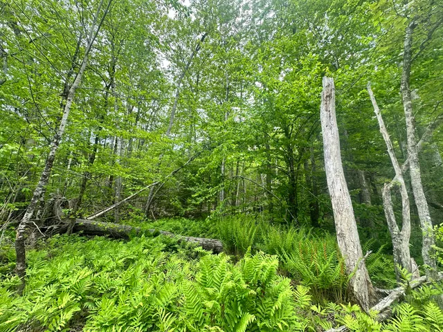 $295,000 | Lot #15 Greenacre Road, Lincolnville, ME 04849