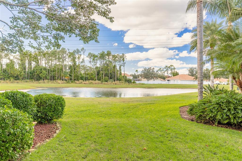 10915 Ledgement Lane Windermere, FL 34786 - Photo 56 of 60 a view of a lake with a big yard