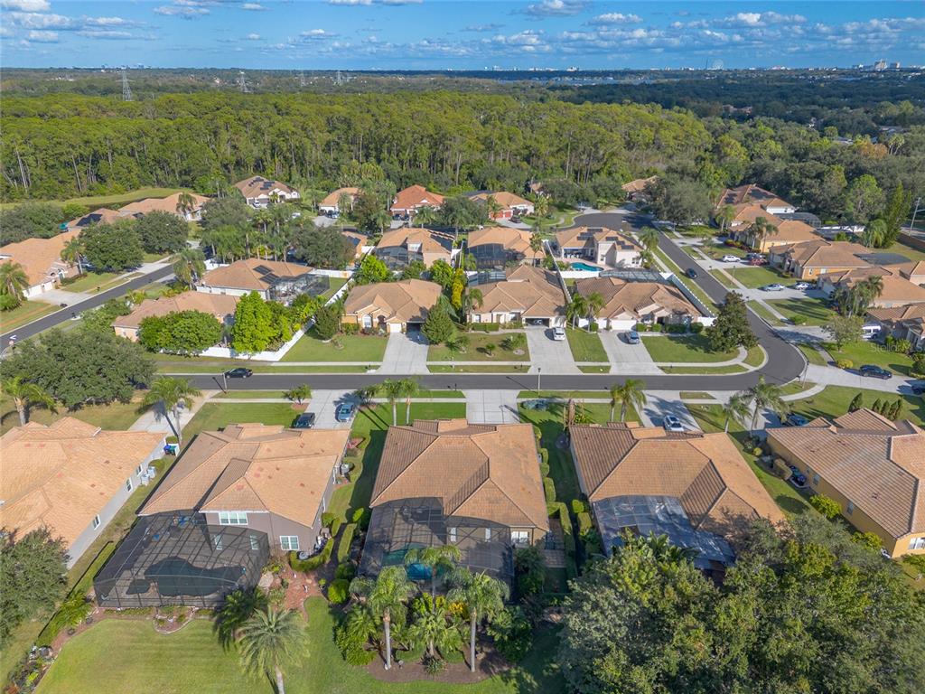 10915 Ledgement Lane Windermere, FL 34786 - Photo 59 of 60 an aerial view of residential houses with outdoor space and street view