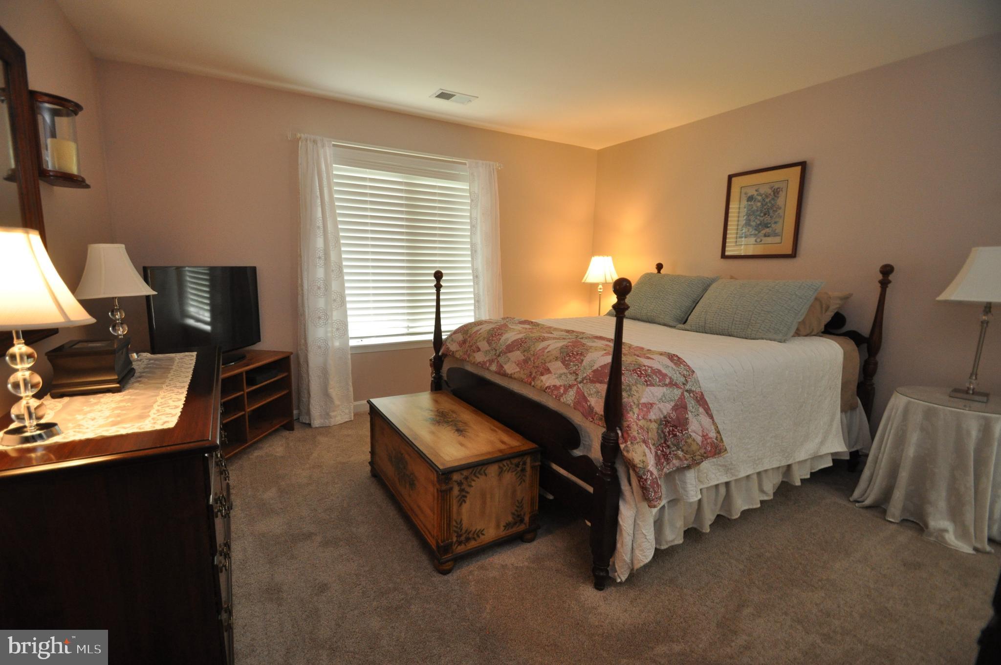 445 Pleasanton Road, Unit C33 Westminster, MD 21157 - Photo 12 of 25 Large master suite with so many closets!