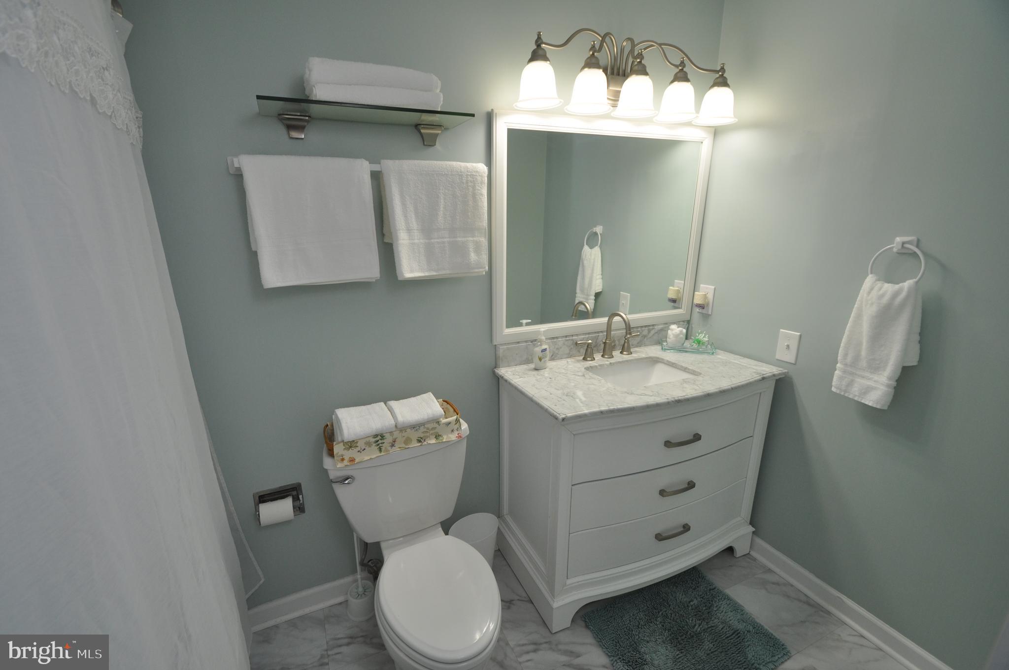 445 Pleasanton Road, Unit C33 Westminster, MD 21157 - Photo 13 of 25 Master bath to die for!