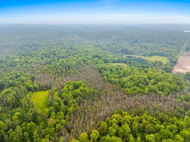 $2,450,000 | N10226 County Road 356, Daggett, MI 49821