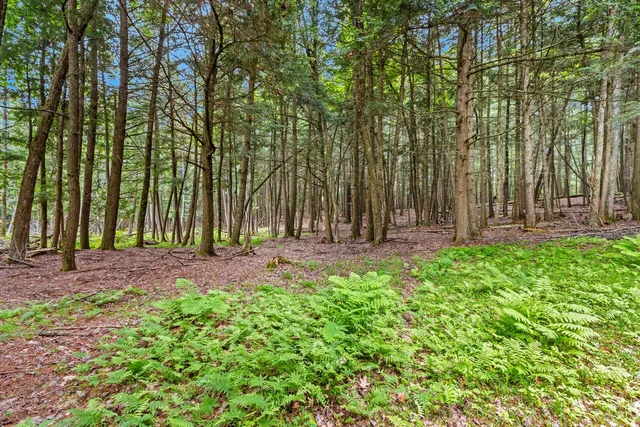 $2,450,000 | N10226 County Road 356, Daggett, MI 49821