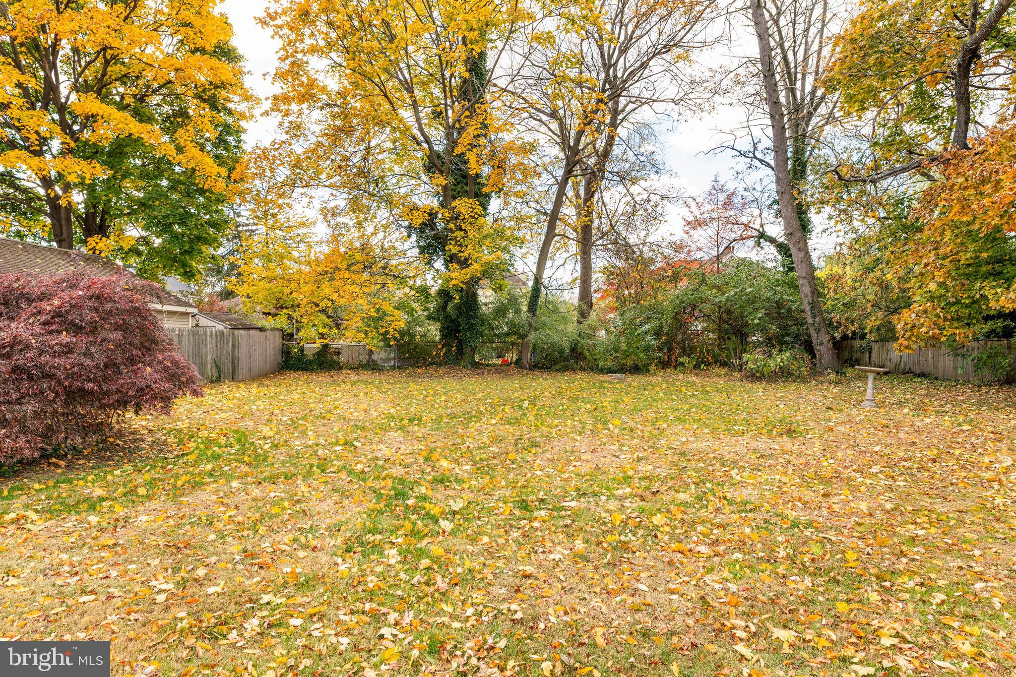 115 President Avenue Rutledge, PA 19070 - Photo 28 of 34 a view of yard and covered with tall trees