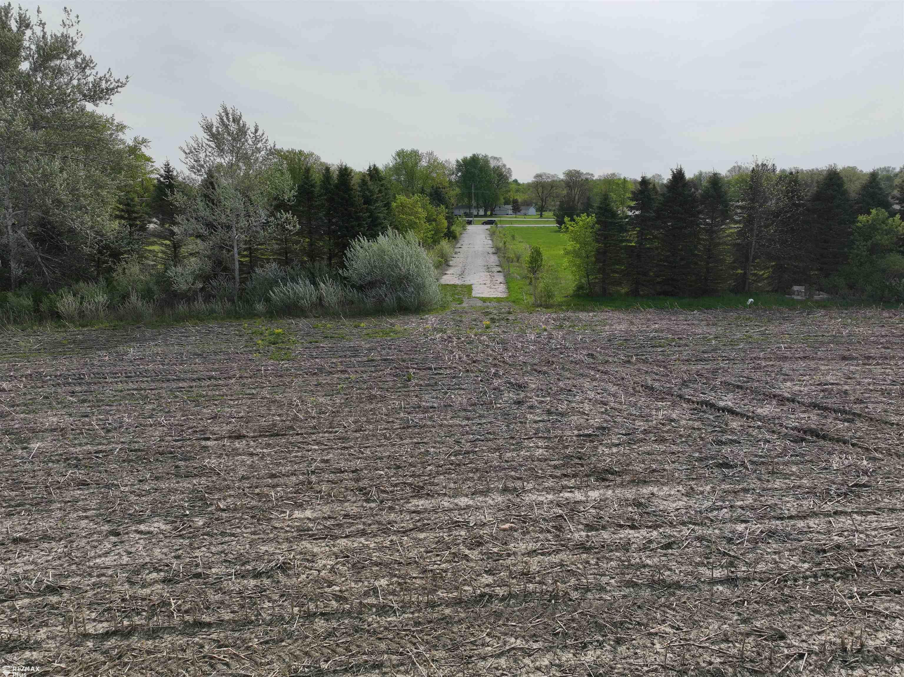 0 Mayfield Road Lapeer, MI 48446 - Photo 7 of 21 50107842-6.JPG