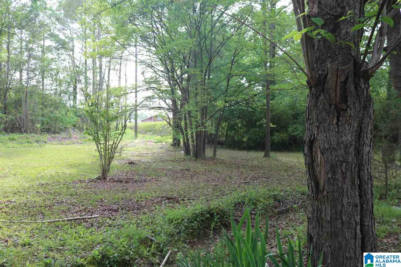 329 Toadvine Cemetery Road Bessemer, AL 35023 - Photo 8 of 22