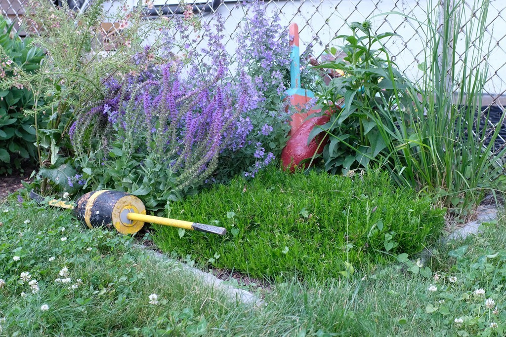 56 Hinckley Street, Unit 2 Somerville, MA 02145 - Photo 16 of 18 a backyard of a house with lots of green space and street view