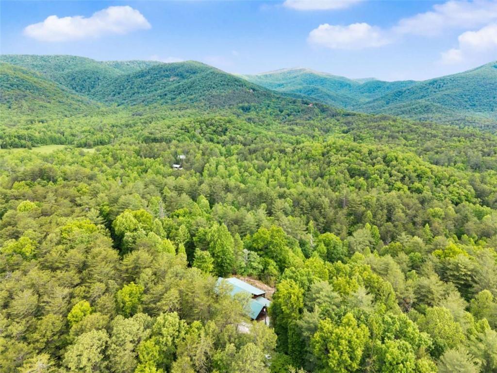 707 South Fern Cove Road Sautee Nacoochee, GA 30571 - Photo 47 of 60 a view of a lush green forest with a houses