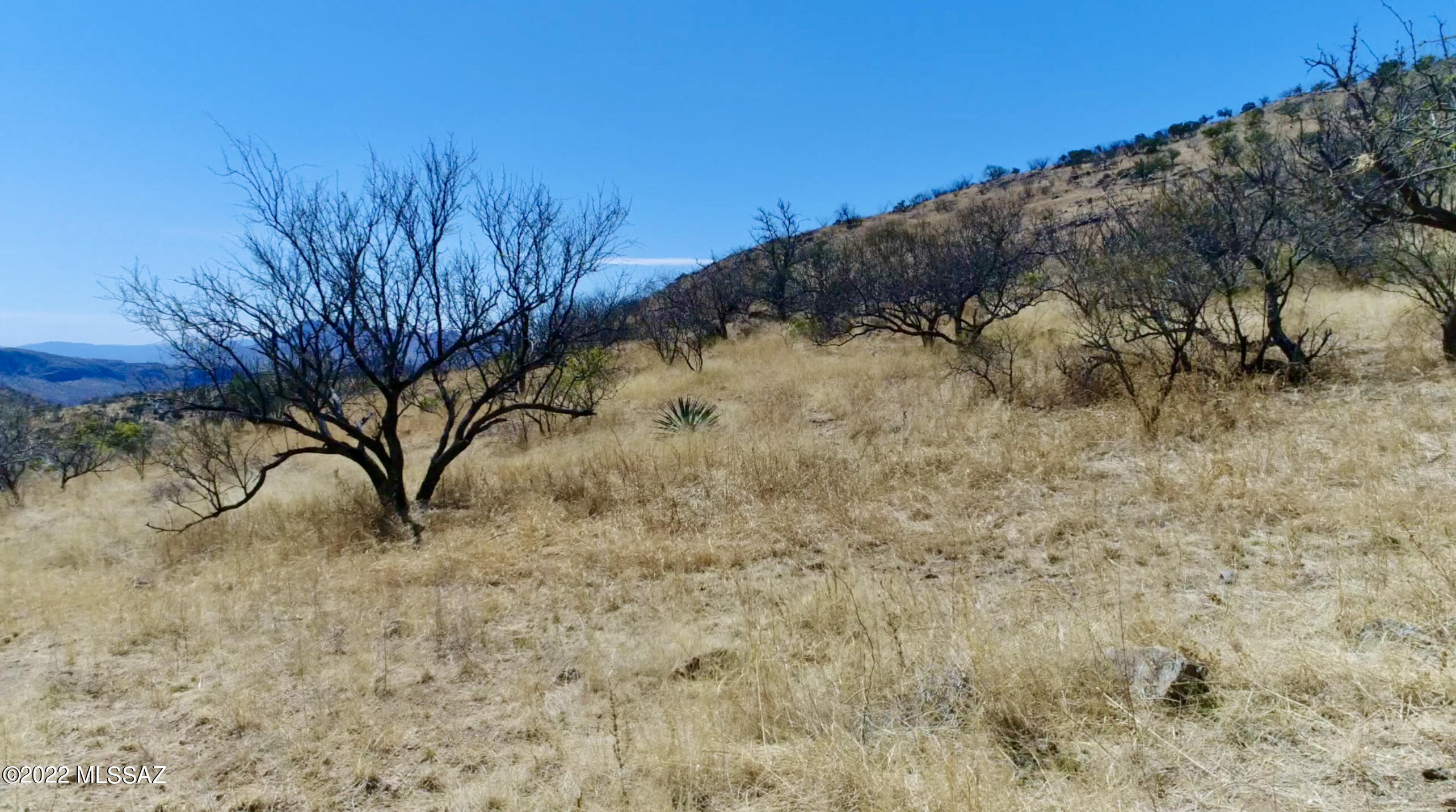 Private Land Rio Rico, AZ 85648 - Photo 46 of 48