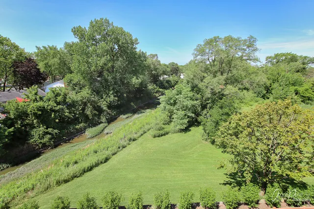 a view of a park with trees in the background