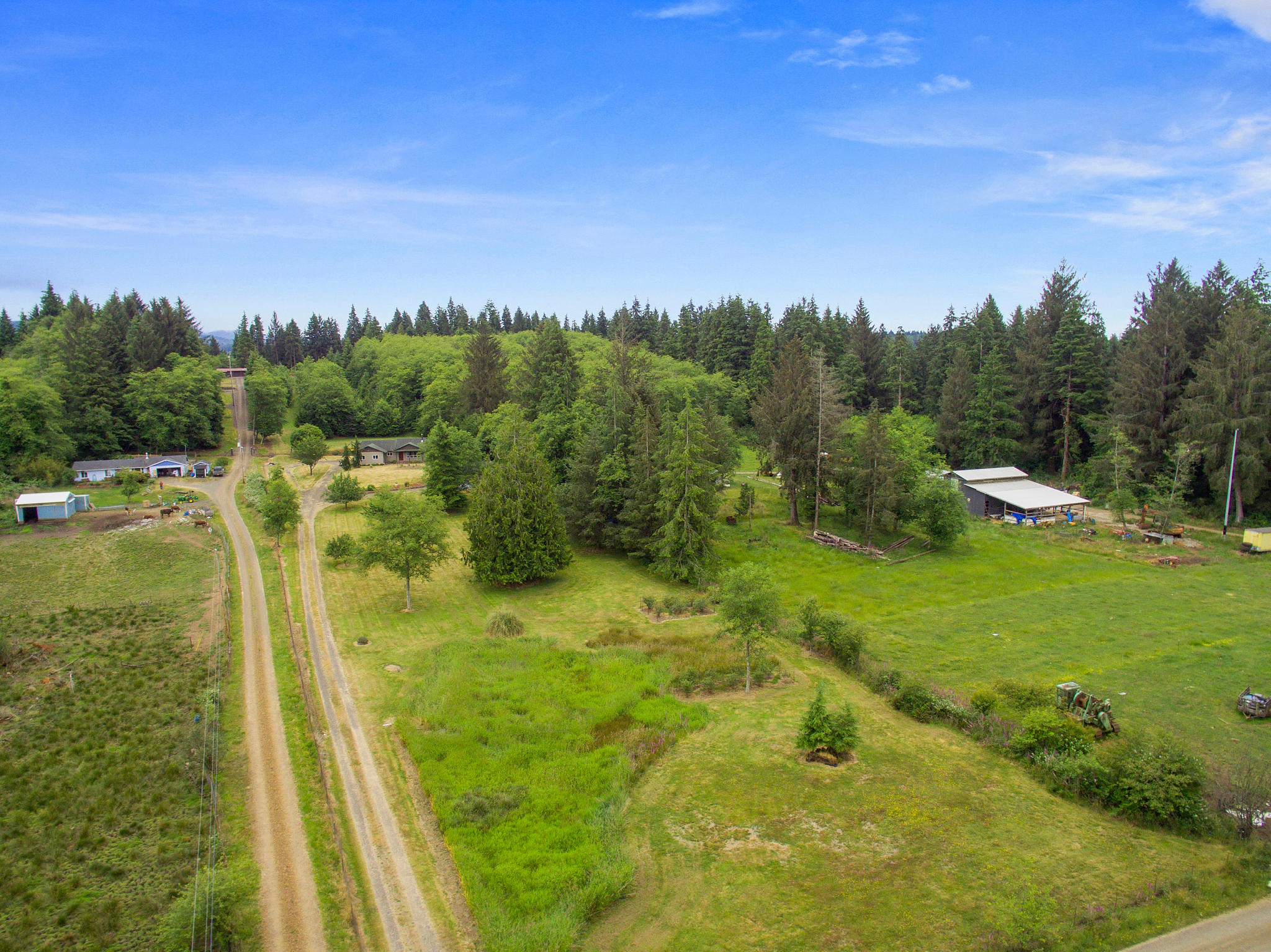 9435 Chance Road Tillamook, OR 97141 - Photo 4 of 25 DJI_0005-X4