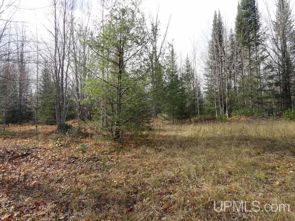 6784 32nd Road Rapid River, MI 49878 - Photo 10 of 36 Gallery Image 10