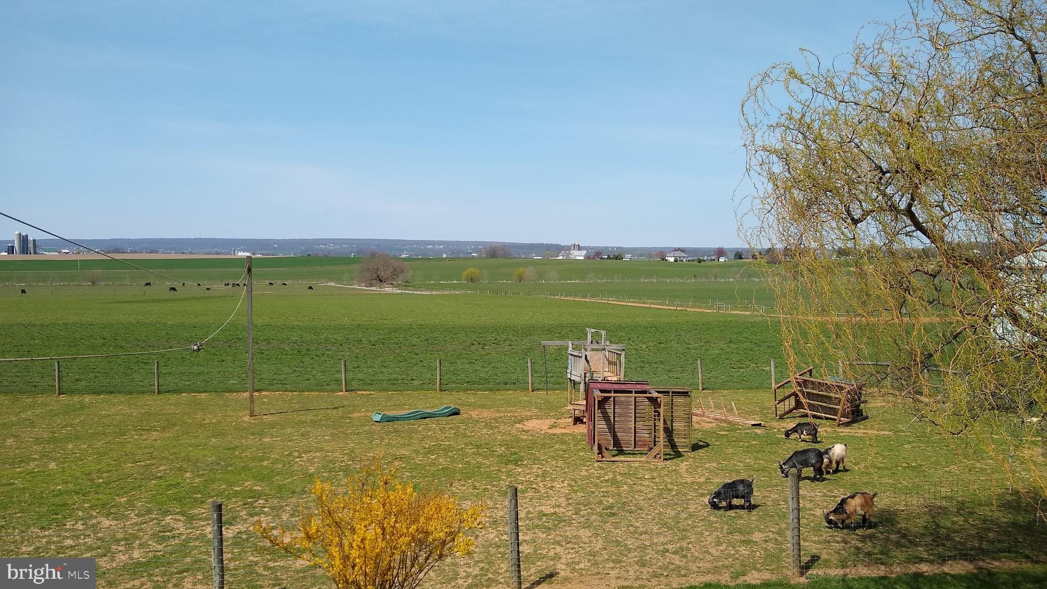 494 Compass Road Gap, PA 17527 - Photo 114 of 127 a view of a lake with a yard