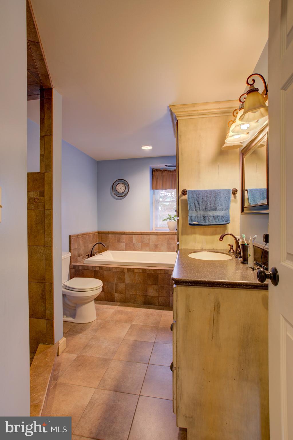 494 Compass Road Gap, PA 17527 - Photo 80 of 127 a bathroom with a granite countertop sink a toilet and shower