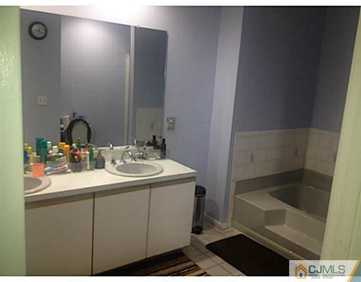179 Salem Road North Brunswick, NJ 08902 - Photo 16 of 23 a bathroom with a sink and a mirror