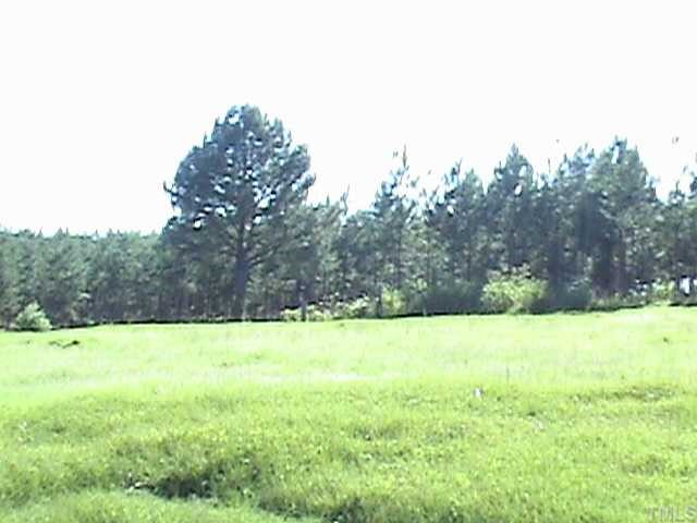 2616 Ellis Chapel Road Bahama, NC 27503 - Photo 5 of 11 a view of open area with green space