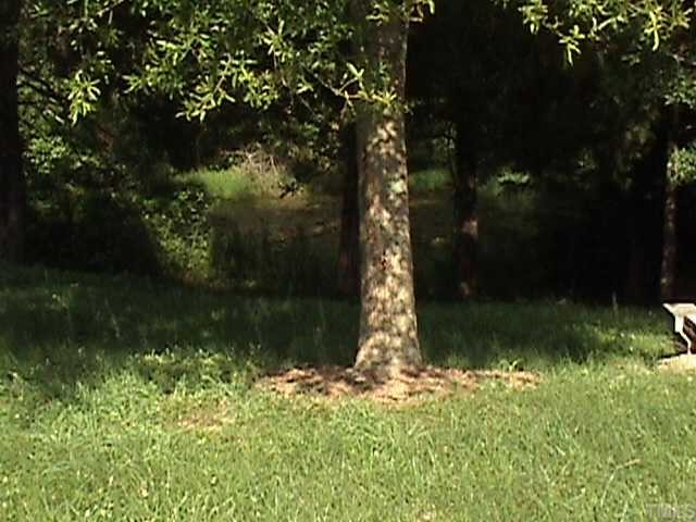 2616 Ellis Chapel Road Bahama, NC 27503 - Photo 6 of 11 a backyard of a house with lots of green space