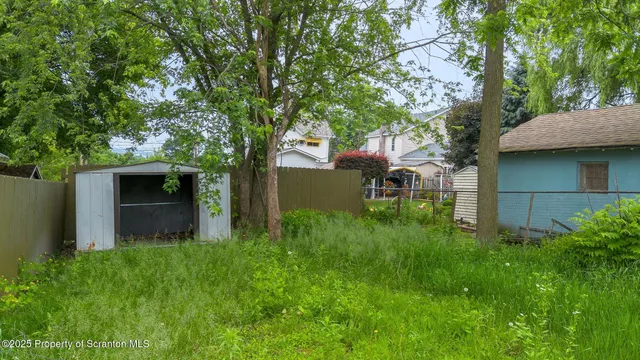 a backyard of a house with plants and large tree