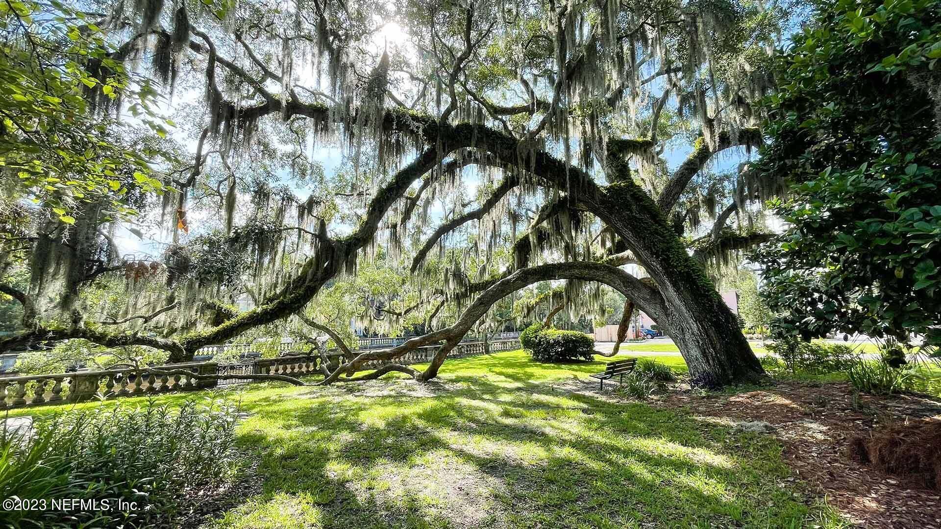 8357 Retrograde Road Jacksonville, FL 32256 - Photo 28 of 34 a view of swimming pool with a yard