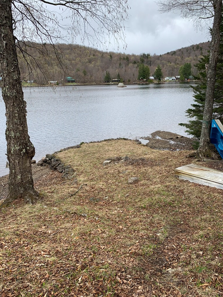 1356 Goodnow Flow Road Newcomb, NY 12852 - Photo 15 of 29 Gallery Image 15