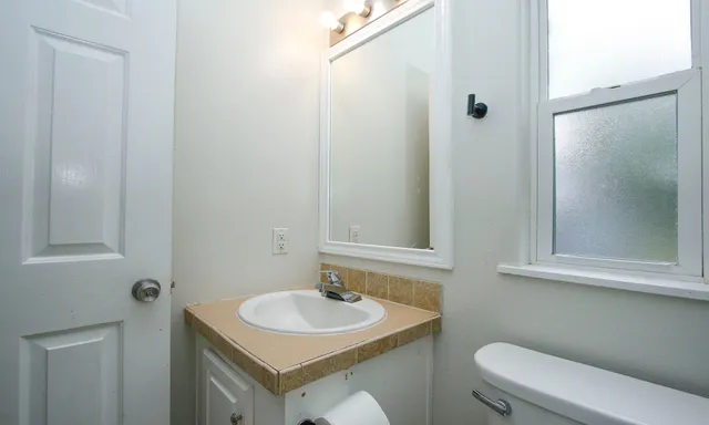 a bathroom with a sink and a toilet