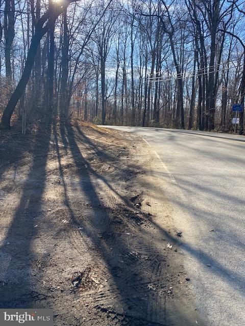 a view of backyard with large trees