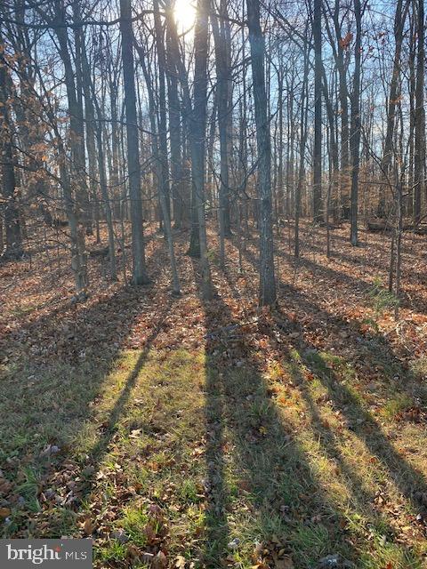 12609 Braddock Road Fairfax, VA 22030 - Photo 5 of 12 a view of outdoor space with trees
