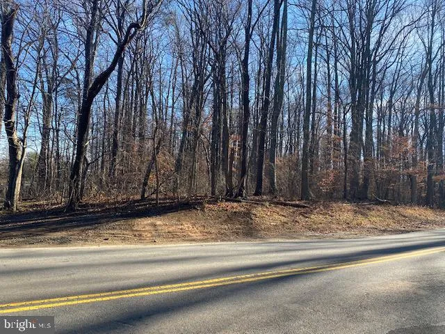 a view of parking space with large trees
