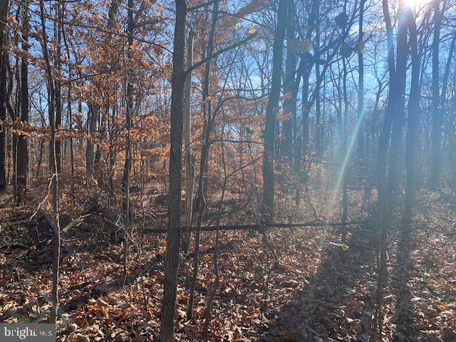 12609 Braddock Road Fairfax, VA 22030 - Photo 10 of 12 a view of pathway in a yard