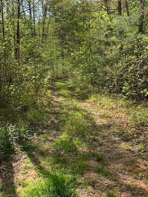 938 Boomer Road Boomer, NC 28606 - Photo 17 of 24 Gallery Image 17