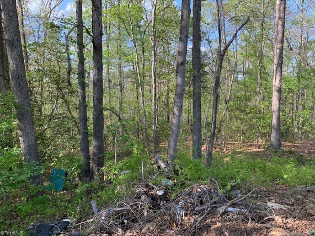 938 Boomer Road Boomer, NC 28606 - Photo 19 of 24 Gallery Image 19