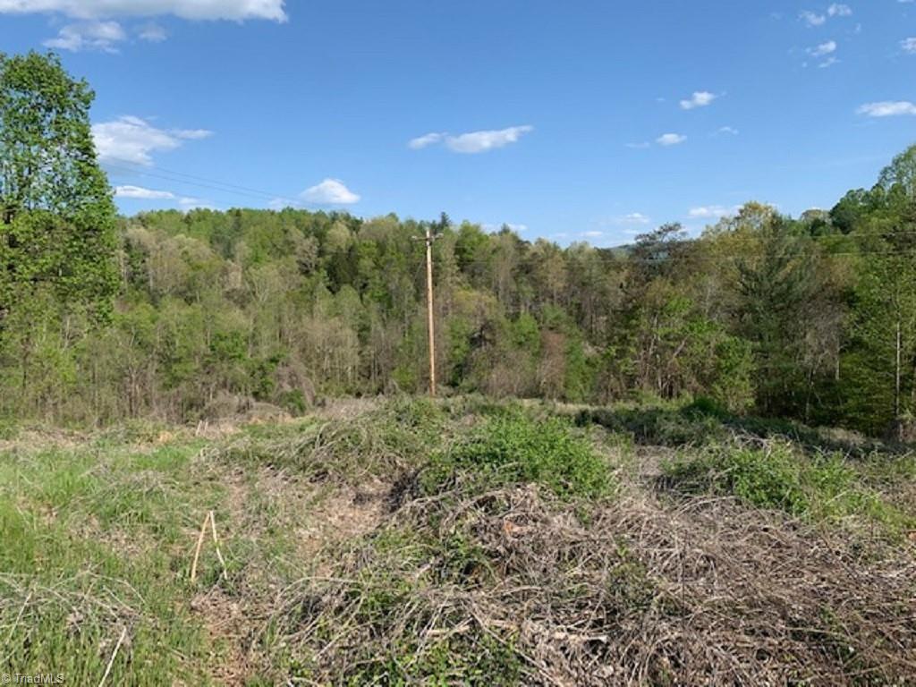 938 Boomer Road Boomer, NC 28606 - Photo 22 of 24 Gallery Image 22
