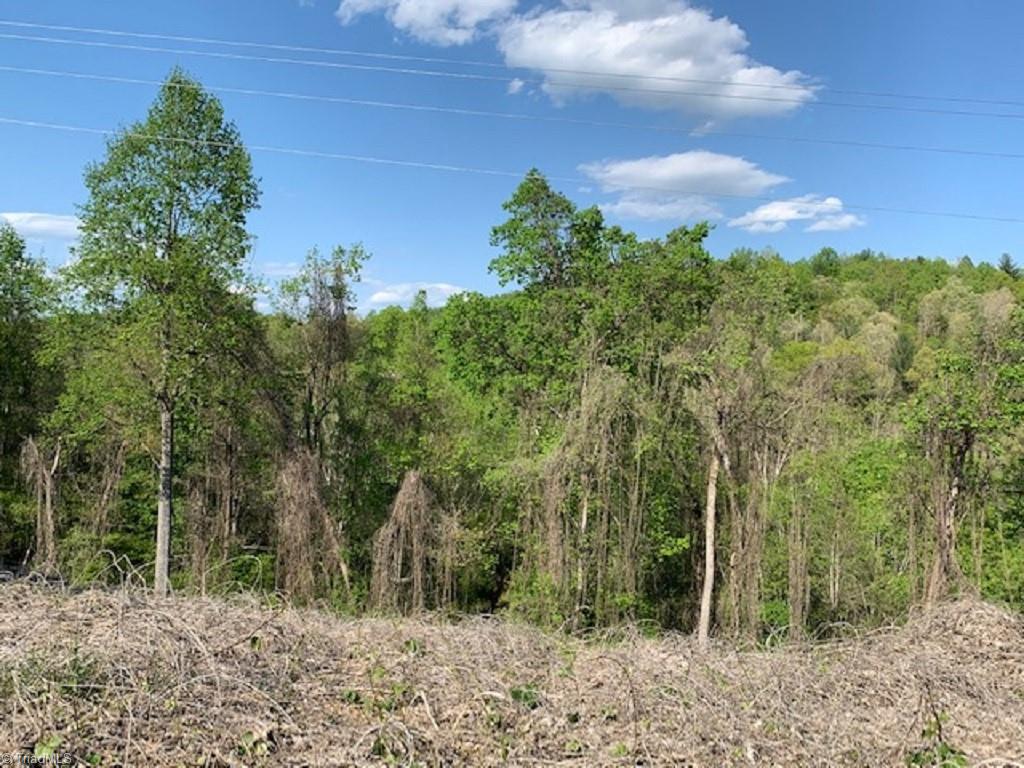 938 Boomer Road Boomer, NC 28606 - Photo 23 of 24 Gallery Image 23