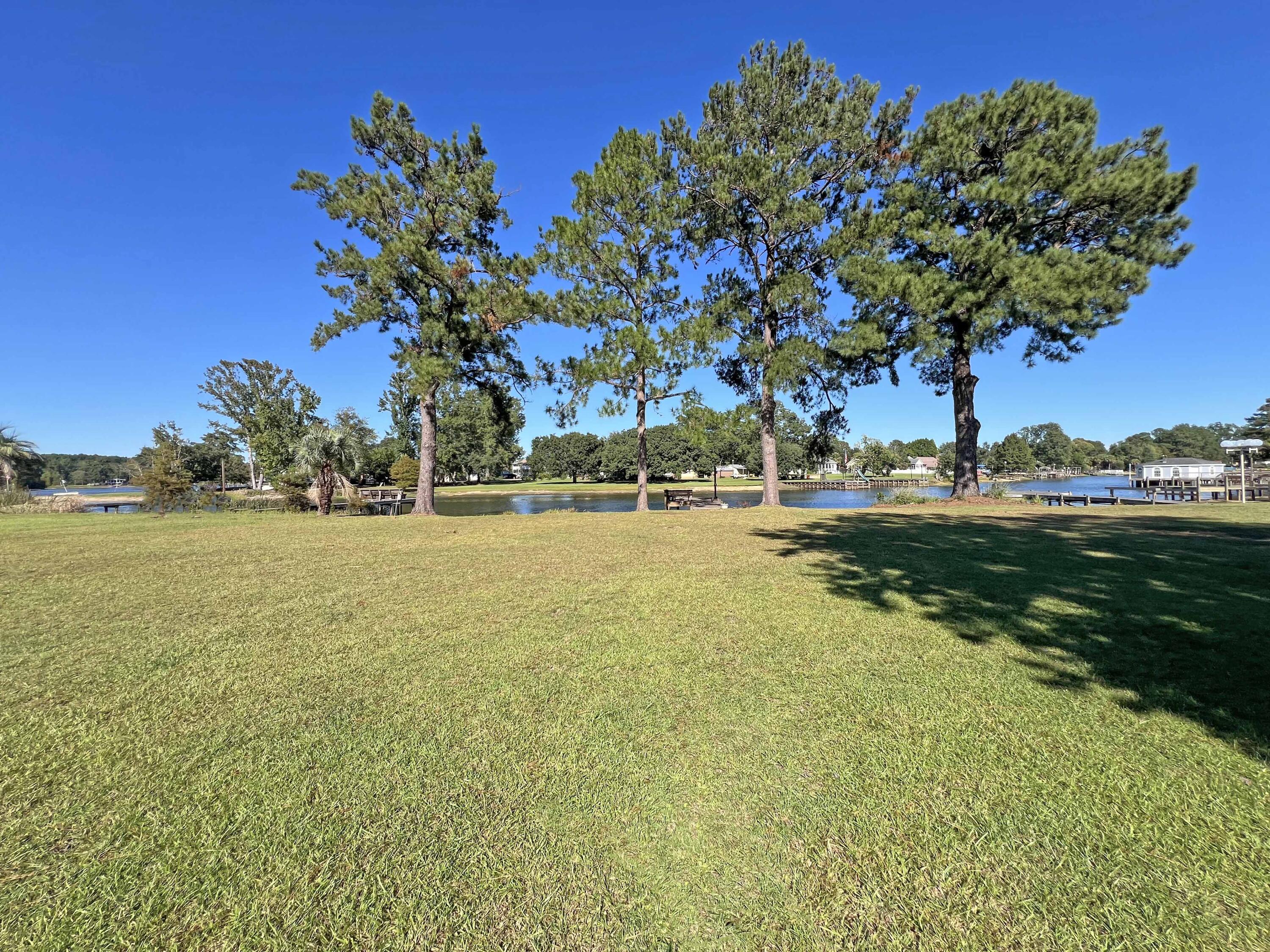 9576 Washington Davis Road Summerton, SC 29148 - Photo 9 of 50 Yard Water side