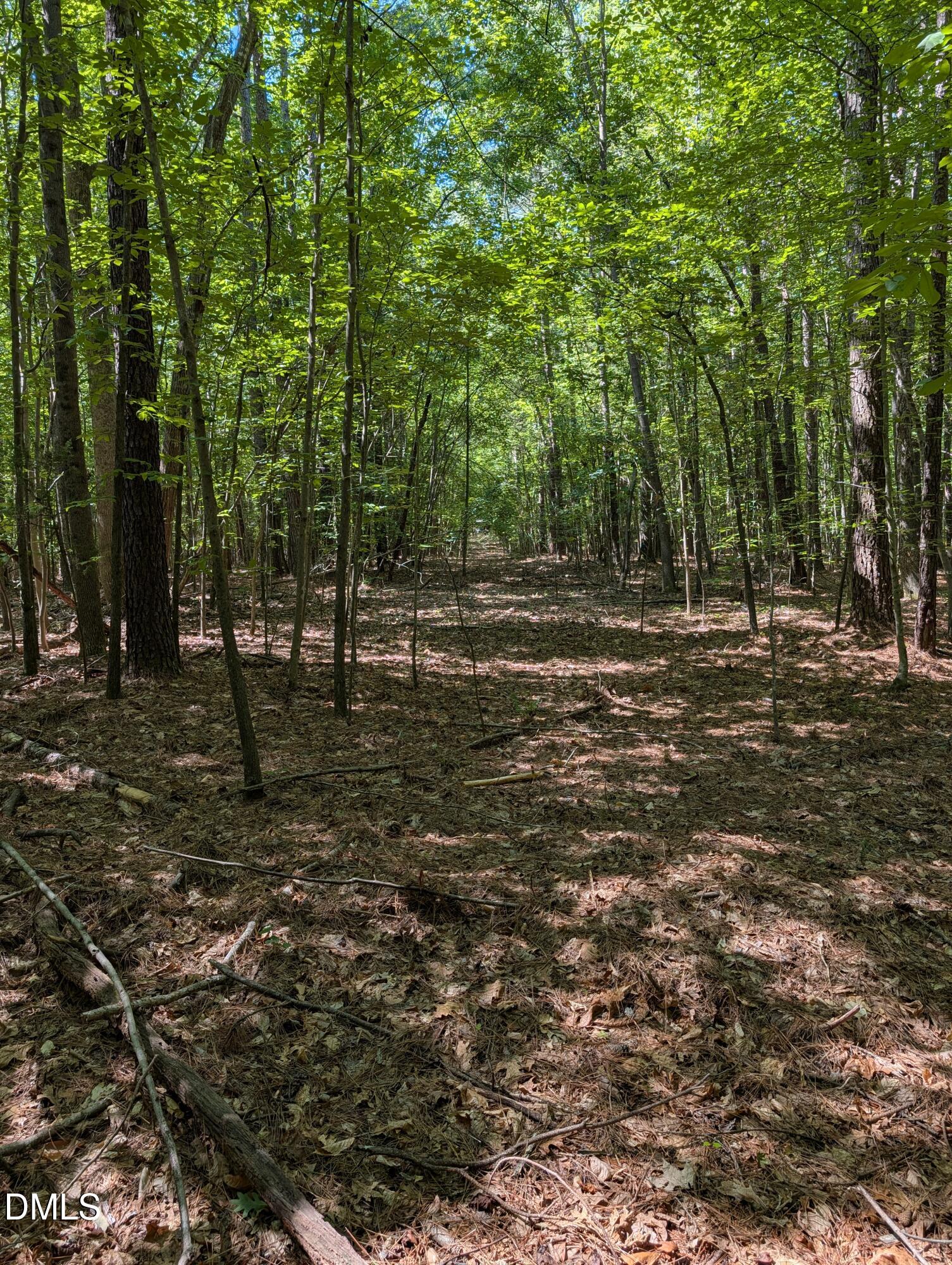 B2 Thelma Road Roanoke Rapids, NC 27870 - Photo 2 of 3