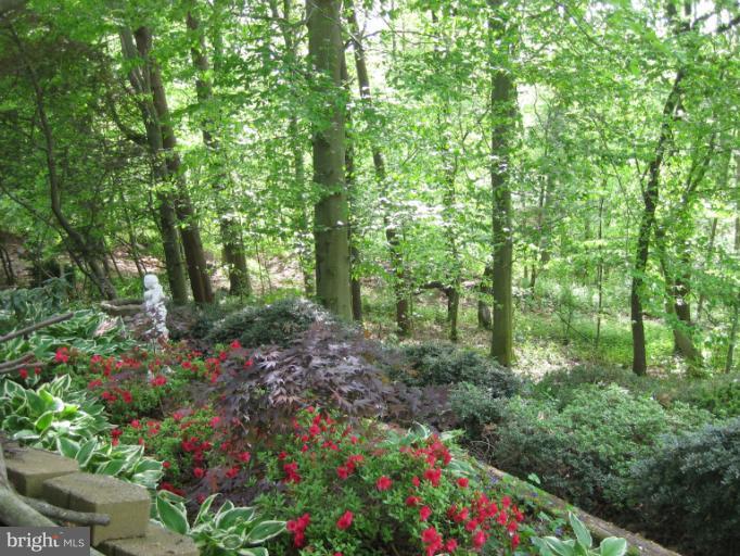 9400 Perglen Road Nottingham, MD 21236 - Photo 16 of 28 Wooded View