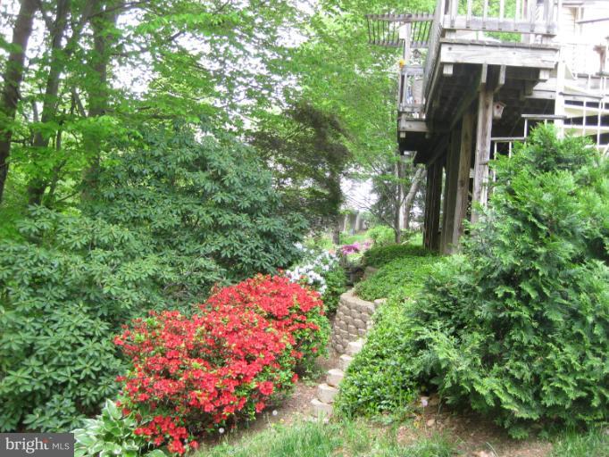 9400 Perglen Road Nottingham, MD 21236 - Photo 22 of 28 Spring Garden in Bloom