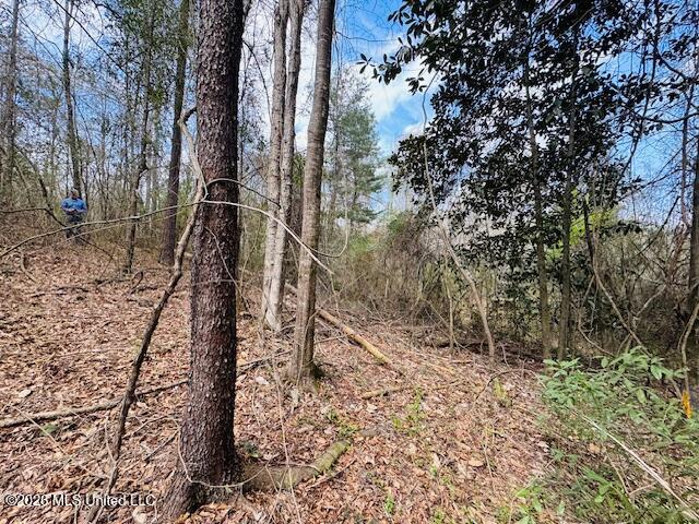Johnston Sta Rd Summit Summit, MS 39666 - Photo 2 of 6 IMG_3643