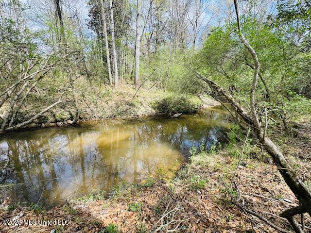 Johnston Sta Rd Summit Summit, MS 39666 - Photo 3 of 6 IMG_3655