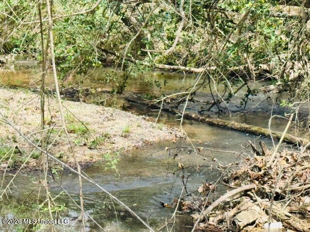 Johnston Sta Rd Summit Summit, MS 39666 - Photo 4 of 6 IMG_3658