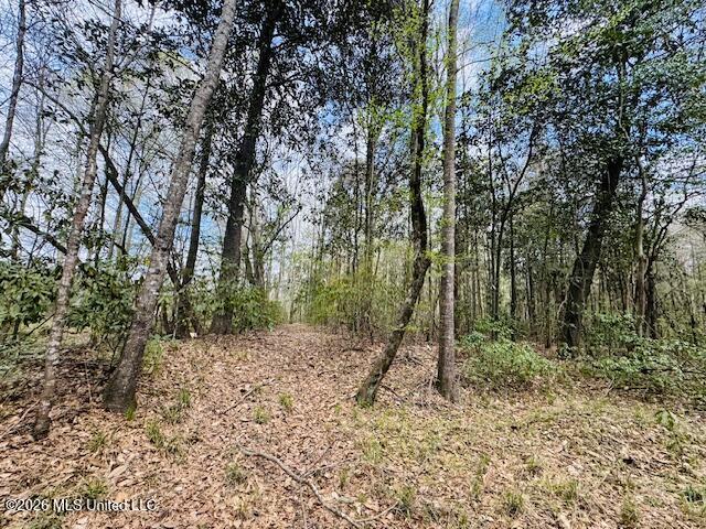 Johnston Sta Rd Summit Summit, MS 39666 - Photo 5 of 6 IMG_3663