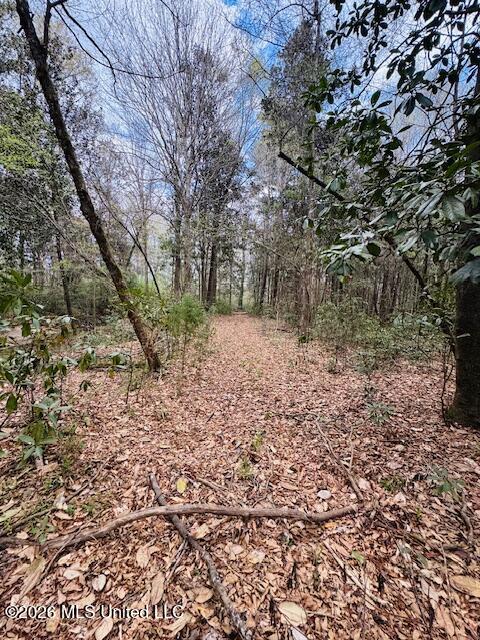 Johnston Sta Rd Summit Summit, MS 39666 - Photo 6 of 6 IMG_3680