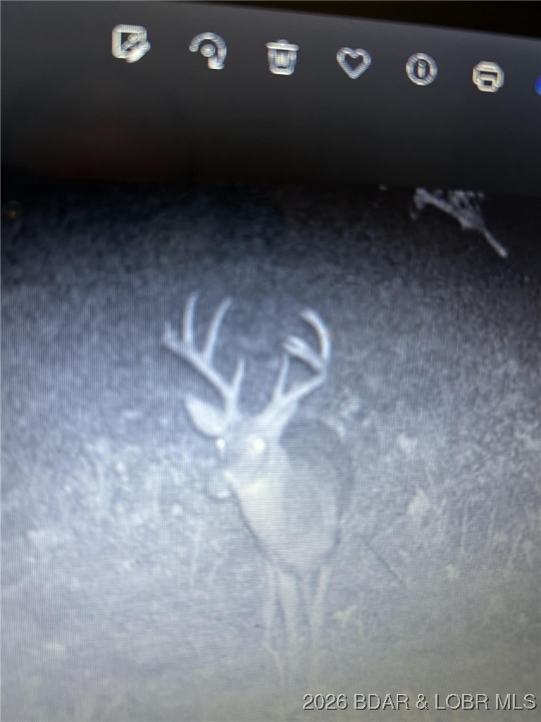 Lot 5 State Aa Road Roach, MO 65787 - Photo 17 of 29