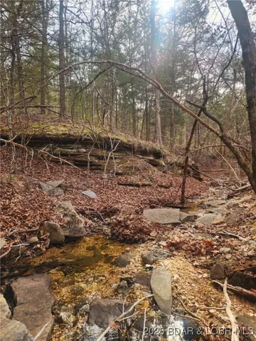 $97,394 | Lot 5 State Aa Road, Roach, MO 65787