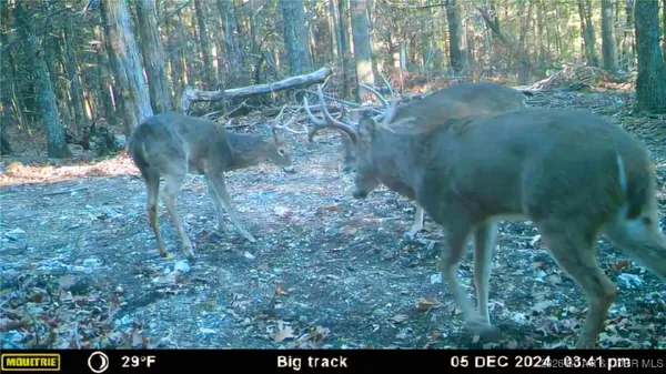 $97,394 | Lot 5 State Aa Road, Roach, MO 65787