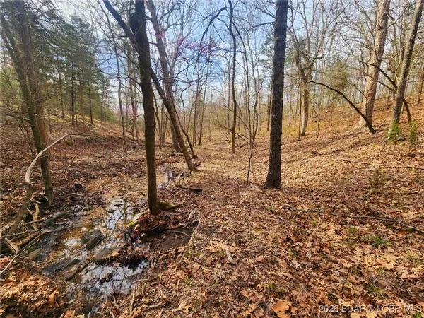 $97,394 | Lot 5 State Aa Road, Roach, MO 65787
