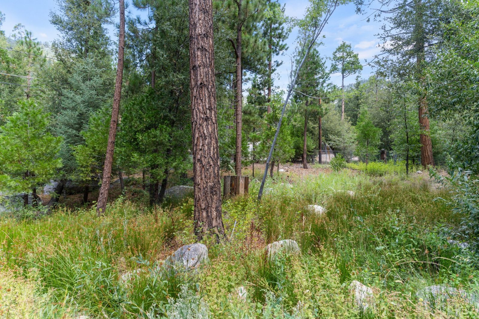 25010 Tahquitz Road Idyllwild, CA 92549 - Photo 47 of 93 a big yard with lots of green space and deers