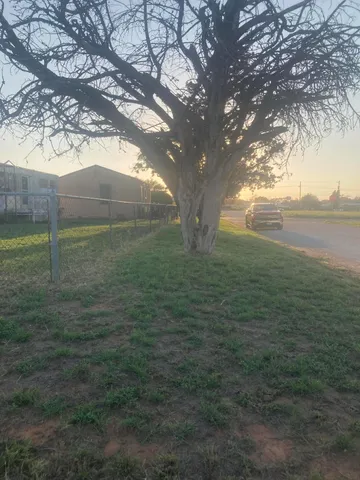 a view of a yard with an outdoor space