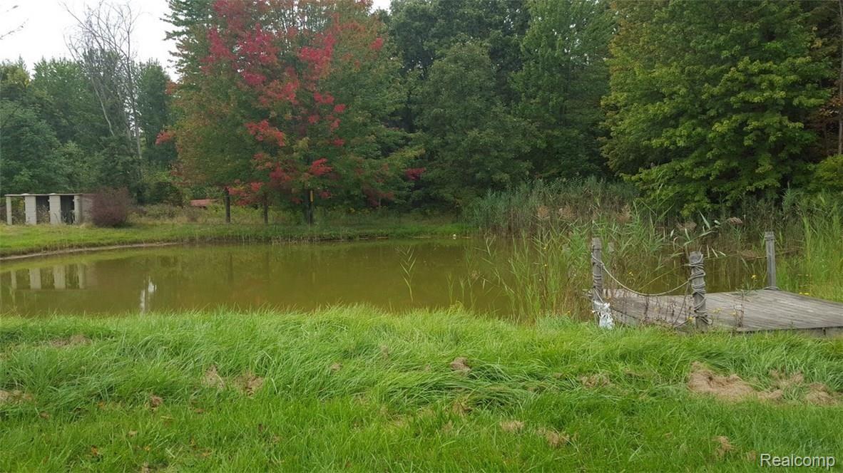 4227 Cade Road Imlay City, MI 48444 - Photo 16 of 16 pond.jpg