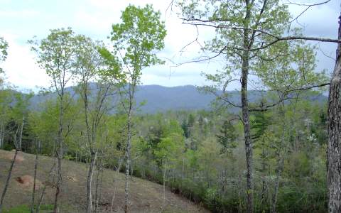Lt49 Lt49 Ray Road Young Harris, GA 30582 - Photo 1 of 1 Main View